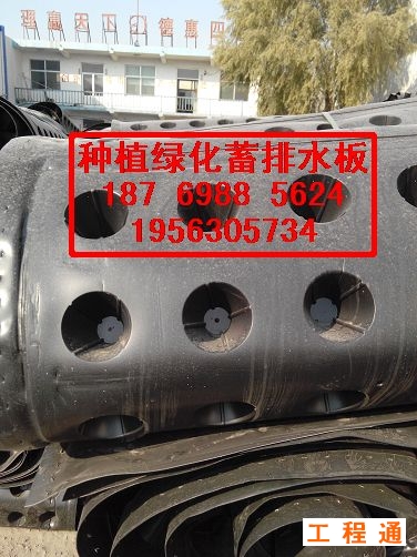 41998.7313536227_IMG_20141118_100019