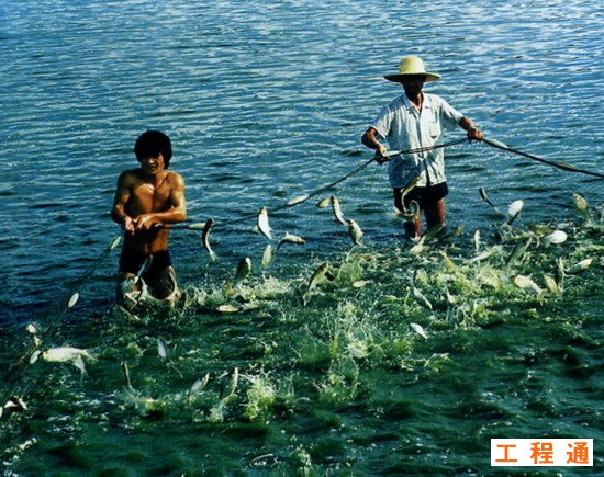 xin_3801032711490931294958