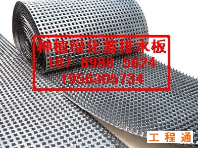 41998.7311798264_2011106_194851