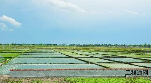 崇左市旱改水工程實施方案