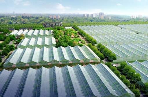 廣西大力推動現代農業發展