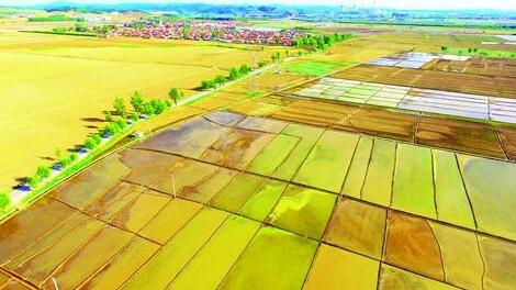 廣西旱改水實(shí)施方案編制費(fèi)用是多少