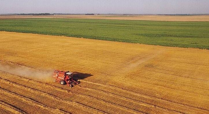 廣西臨時用地土地復墾方案報告編制背景