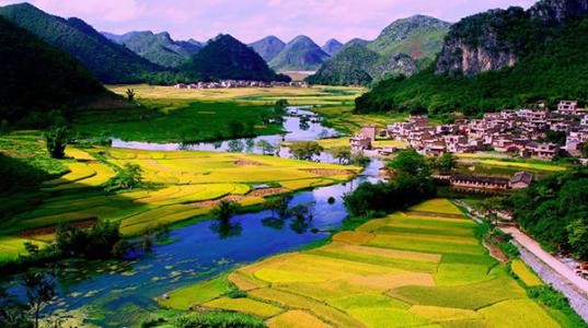 廣西關于進一步加強和規(guī)范設施農(nóng)業(yè)用地管理的通知