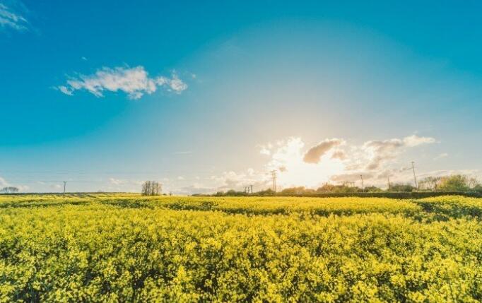 竣工環境保護驗收報告怎么寫