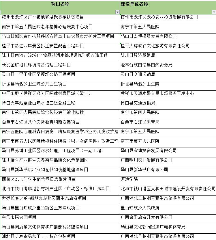 廣西項目建議書編制案例