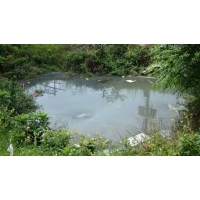 百色、玉林哪家公司能做農村生活污水治理規劃？