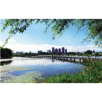 承接各類涉水類評價報告