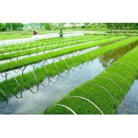 旱改水耕地指標會減少嗎_承接廣西旱改水方案編制