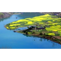 實(shí)施鄉(xiāng)村振興戰(zhàn)略，工程咨詢行業(yè)大有可為