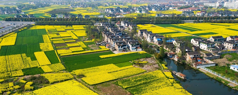 廣西征地社會穩定風險評估應該在哪個階段開展工作？