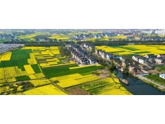 廣西征地社會穩定風險評估應該在哪個階段開展工作？