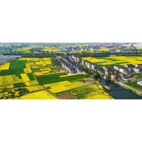 廣西征地社會穩定風險評估應該在哪個階段開展工作？