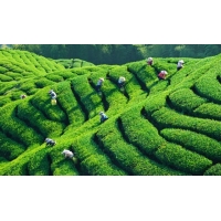 農業水土保持方案報告書的編制依據