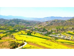 水土保持方案報告表的水土保持承諾制怎么做？