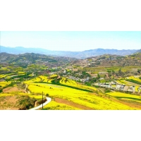 水土保持方案報告表的水土保持承諾制怎么做？