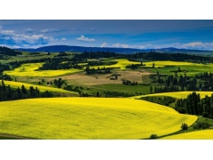 總體規劃相關指標生態保護紅線面積是什么意思？永久基本農田保護面積呢？