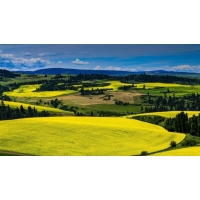 總體規劃相關指標生態保護紅線面積是什么意思？永久基本農田保護面積呢？