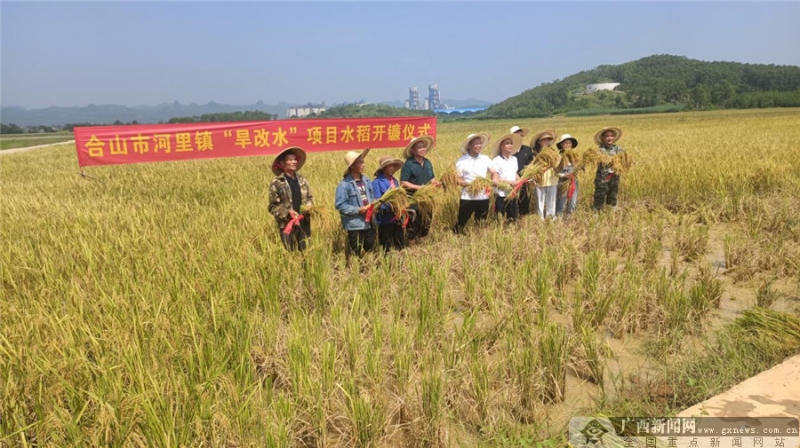 廣西來賓市旱改水項目初見成效，改出農(nóng)民新希望