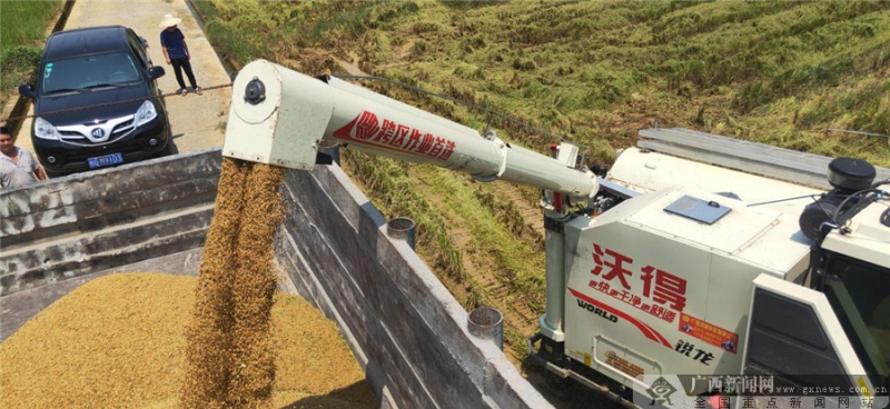 廣西來賓市旱改水項目初見成效，改出農(nóng)民新希望