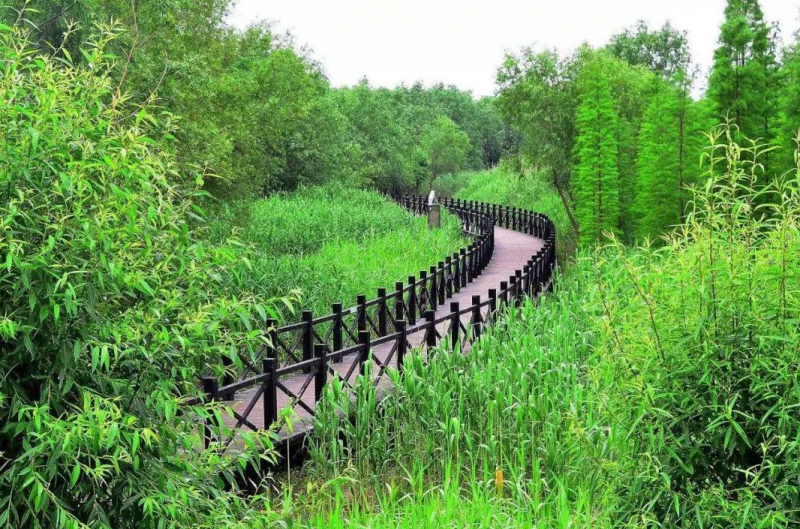 占用林地可研報(bào)告多少錢(qián)