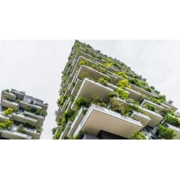 綠色建筑標識申報材料及程序