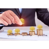 湖南農業資金申請報告編制