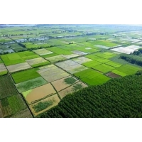 湖南長沙關于農田資源專業咨詢公司