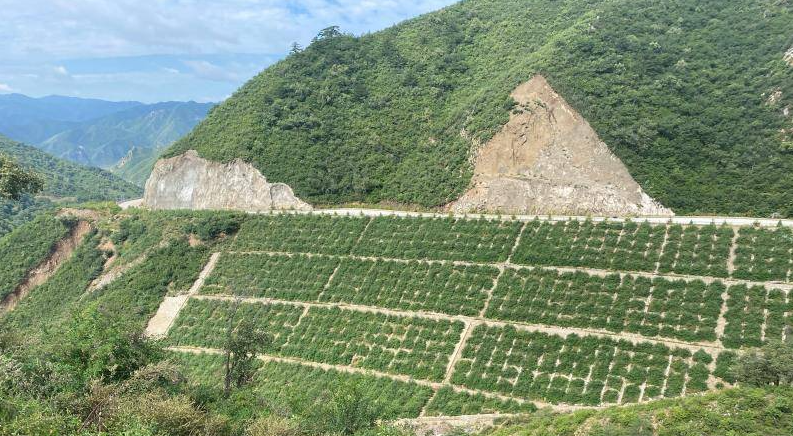 什么是水土保持檢測報告