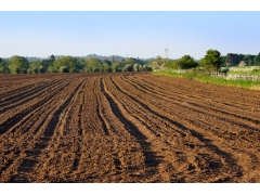 專(zhuān)業(yè)編寫(xiě)湖南節(jié)約用地報(bào)告 （長(zhǎng)期有效）