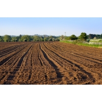 專業編寫湖南節約用地報告 （長期有效）