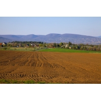 湖南如何切實提高土地利用效率？湖南節地報告