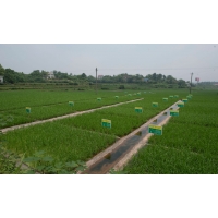 什么叫做全域綜合整治？湖南土地咨詢單位