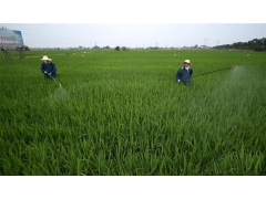 湖南土地整治項(xiàng)目申報(bào)立項(xiàng)應(yīng)符合哪些條件？提交哪些材料？