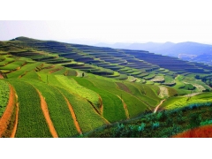 房地產項目水土保持監測季度報告表資料清單_廣東專業水保編制