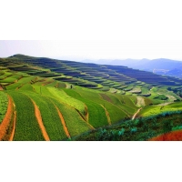 房地產項目水土保持監測季度報告表資料清單_廣東專業水保編制