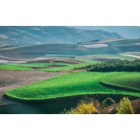 “十四五”水土保持目標主要指標值_代編廣東水保方案