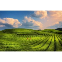 “十四五”各省水土保持率目標_代編廣東水保監測