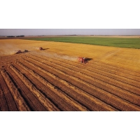 外省的甲級土地規劃機構在廣東省從業需要在省廳備案嗎？