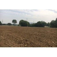 土地復墾有哪些標準？湖北土地復墾方案中介機構