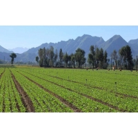 哪些損毀類型的土地需要編制復墾方案？湖北土地復墾方案