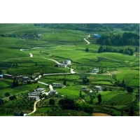 農(nóng)業(yè)綜合開發(fā)項目可行性研究報告目錄框架_湖北做可研的公司