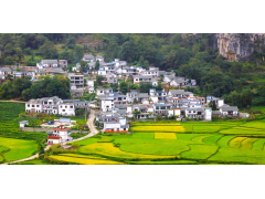 農(nóng)村一二三產(chǎn)業(yè)融合發(fā)展項目是什么？廣東產(chǎn)業(yè)發(fā)展規(guī)劃