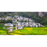 農村一二三產業融合發展項目是什么？廣東產業發展規劃