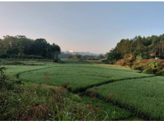 什么是土地復(fù)墾費(fèi)？廣西做土地復(fù)墾方案的公司