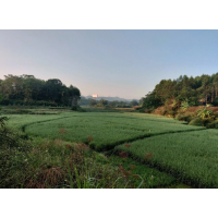 什么是土地復(fù)墾費(fèi)？廣西做土地復(fù)墾方案的公司