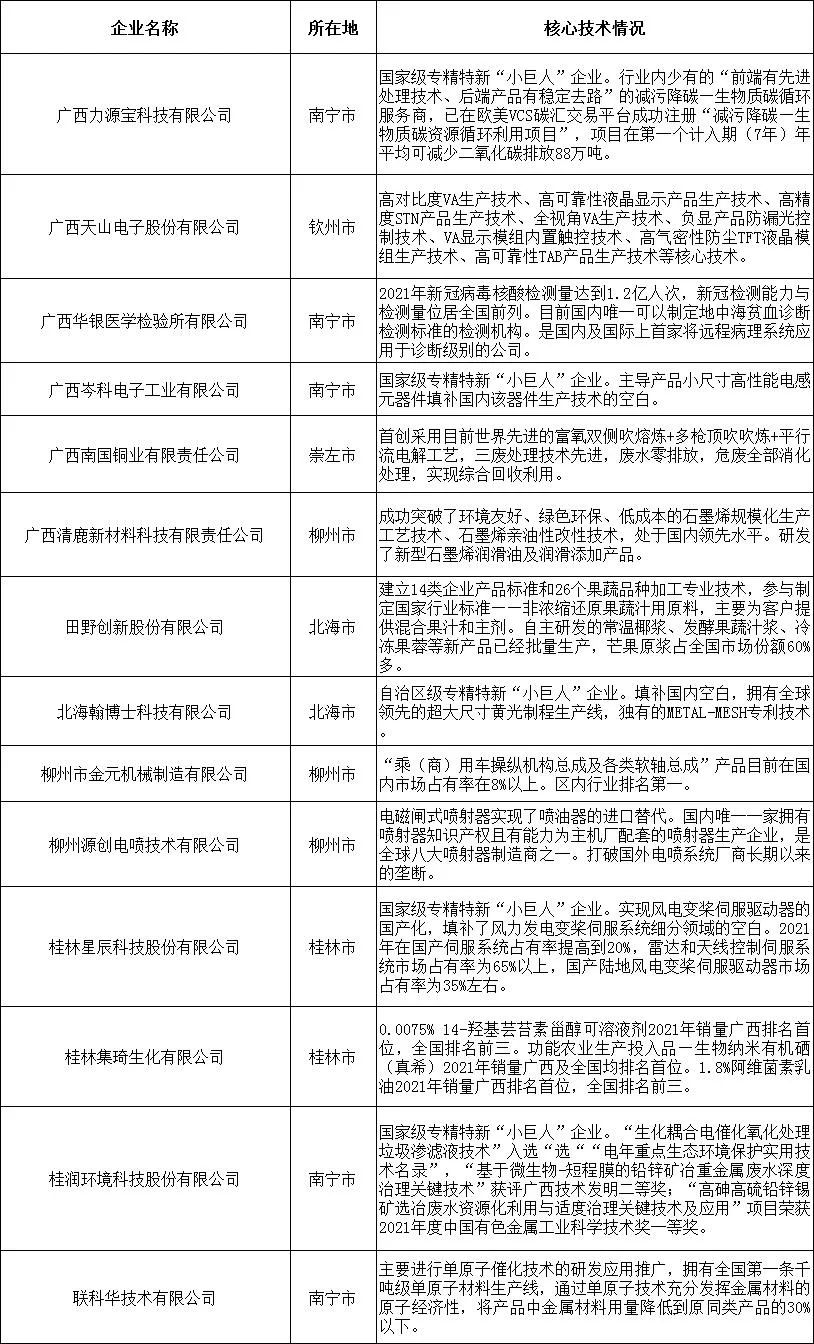 2022廣西最具潛力民營企業榜單