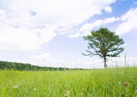 廣西中創工程有限公司主營業務深度解析